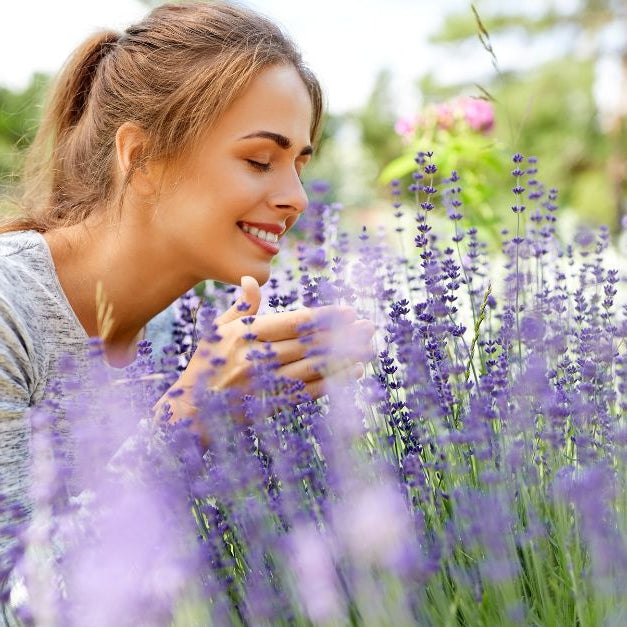 Geurbeleving in de toiletruimte, het verhoogt de productiviteit!