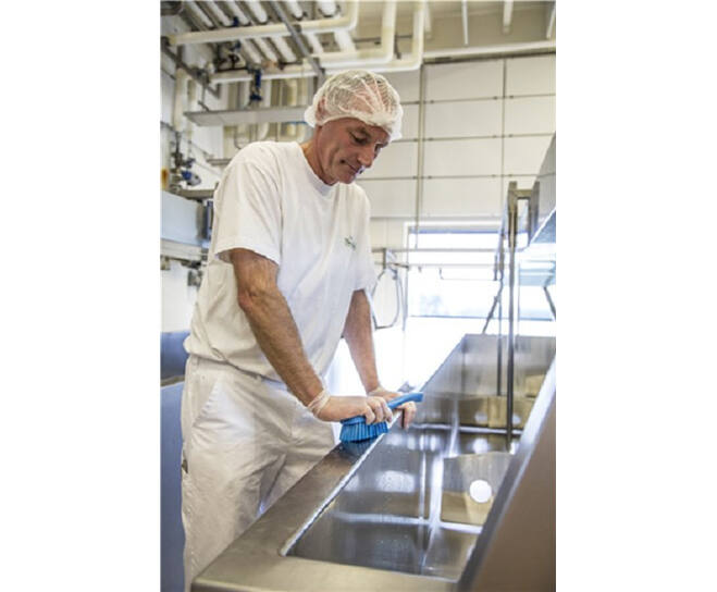 Vikan Hygiene Afwasborstel Groot Hard Blauw